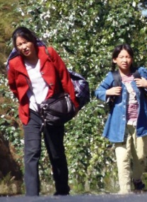 欧美怡红院高清在线